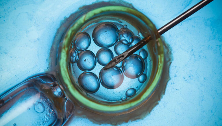 Eggs & Embryo Freezing Treatment | Baby IVF fertility